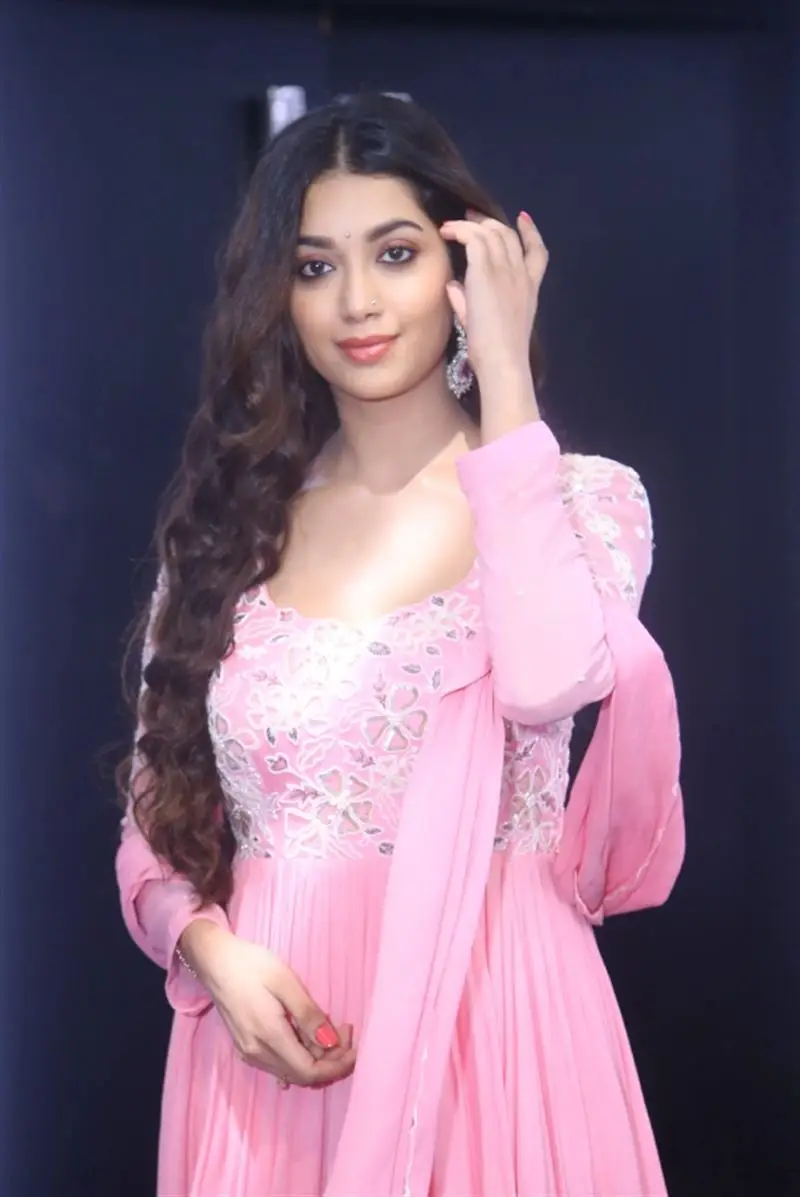 Telugu Actress Digangana Suryavanshi In Beautiful Pink Gown